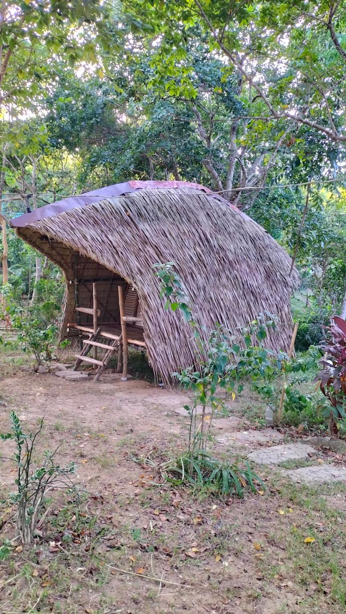 Erlittop Nature Lodge El Nido Exterior photo